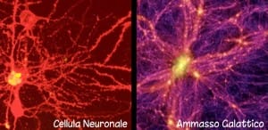 galassia-neurone